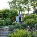 IMG_A_46.jpg